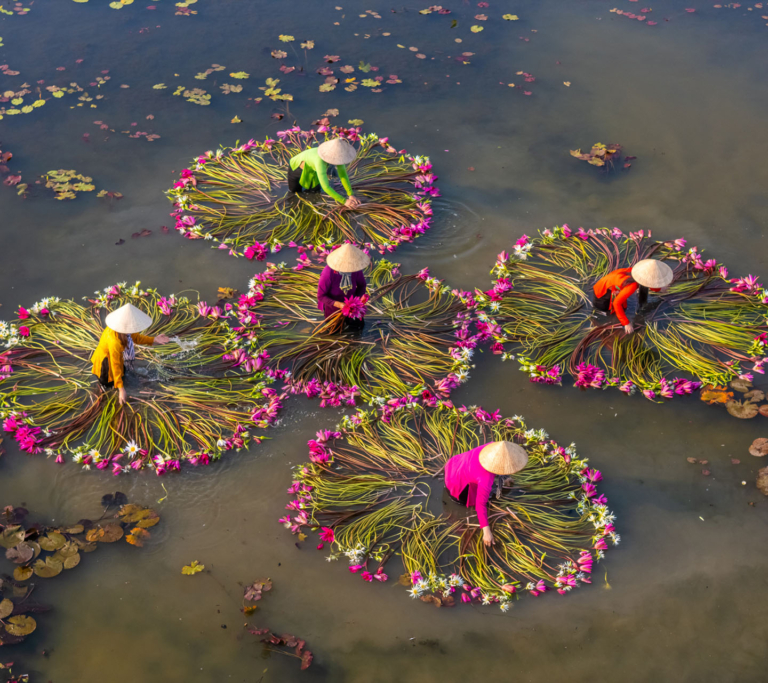Vietnam