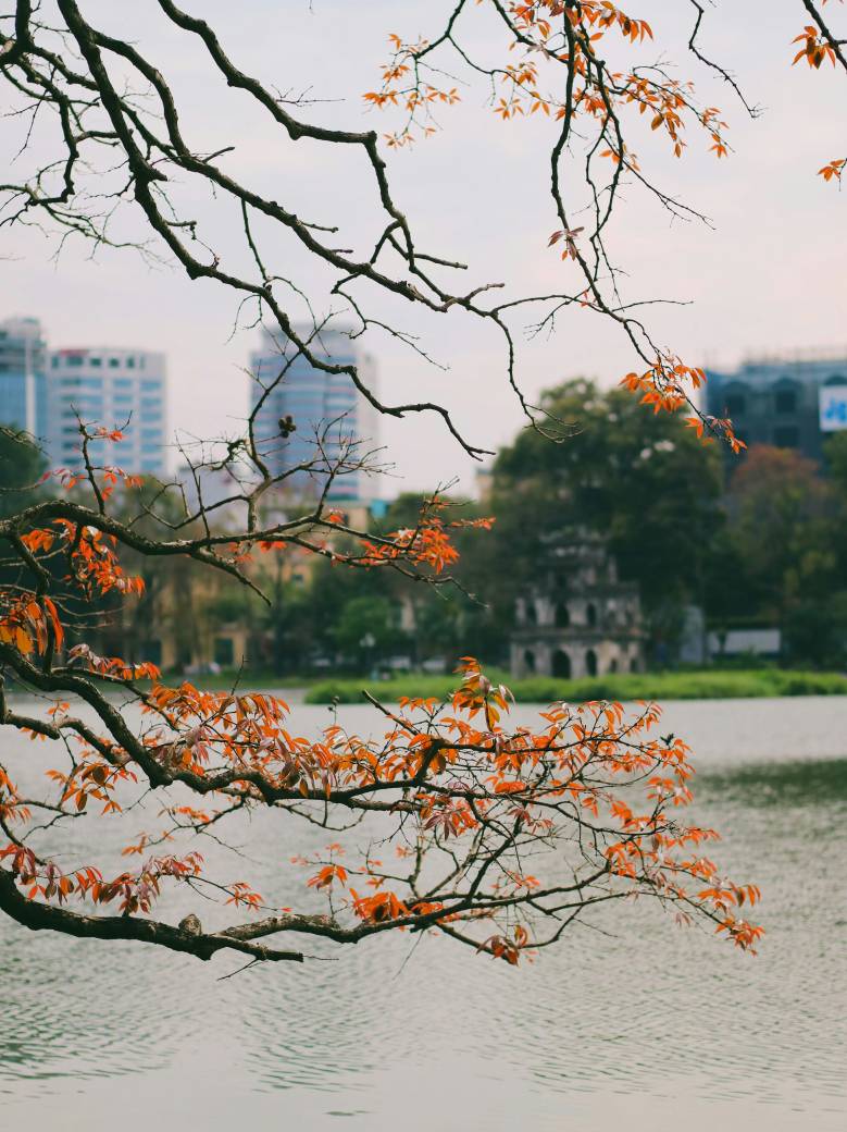 Hanoi