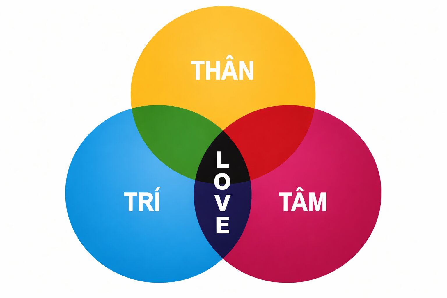 940b4570 6018 4d98 8fe6 4f44da6365a5